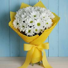 Букет цветов из:  Хризантемы #REPLACE_PRED# Трубичино